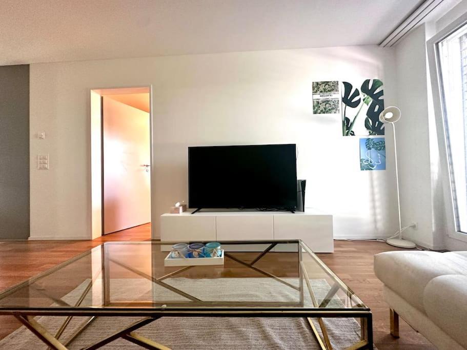 Moderne Wohnung Am Flughafen Opfikon-Glattbrugg Zewnętrze zdjęcie